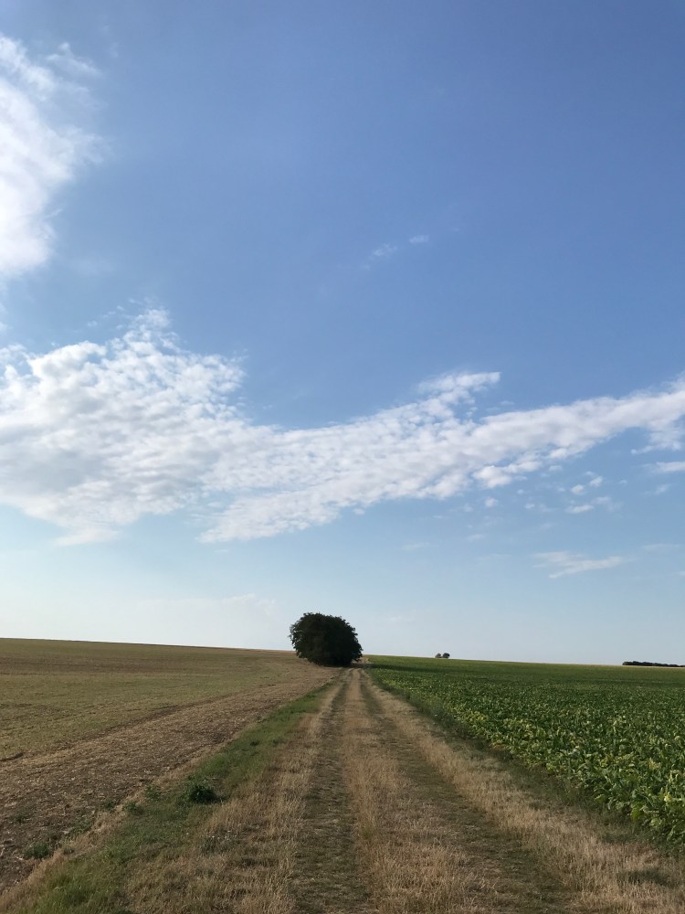 8EA2DE10-4038-4059-B01C-582E3FFD56D8-476-0000004E61A14E4E